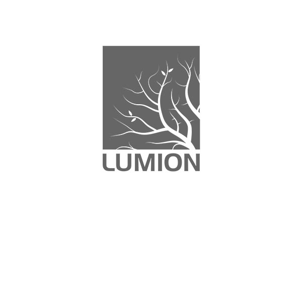Lumion